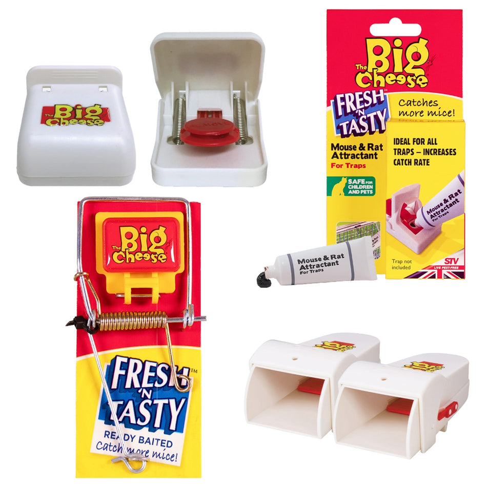 Wooden Mouse Trap - 4-Pack Main Image