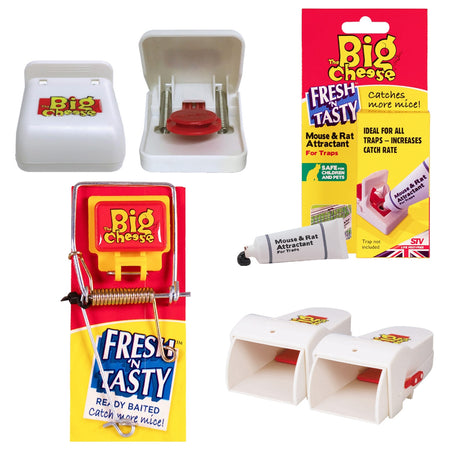 Wooden Mouse Trap - 4-Pack Main Image