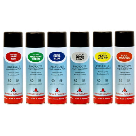 Aerosol Solutions Pro-Cote 500ml Spray Paint - Quick Silver Main Image
